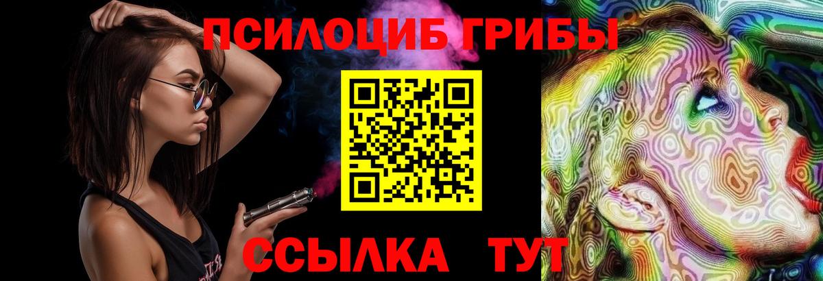 Галлюциногенные грибы прущие грибы Великий Устюг