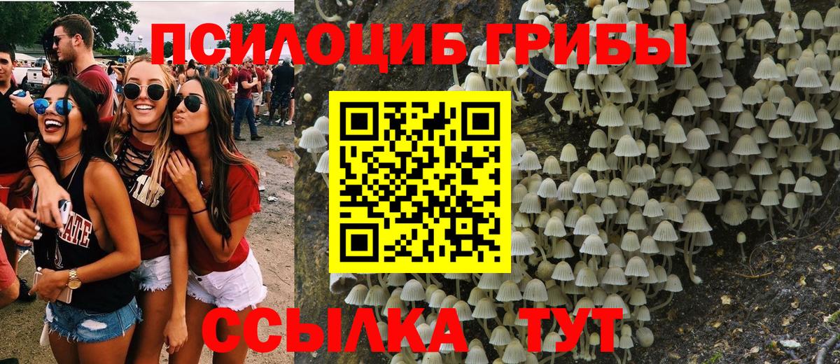 Галлюциногенные грибы MAGIC MUSHROOMS  Галлюциногенные грибы Magic Shrooms  Вход с VPN  Великий Устюг 