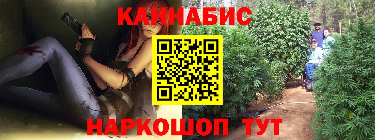 Бошки марихуана White Widow Великий Устюг